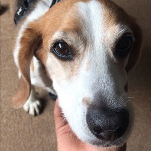 Meet your Posher, Alan
